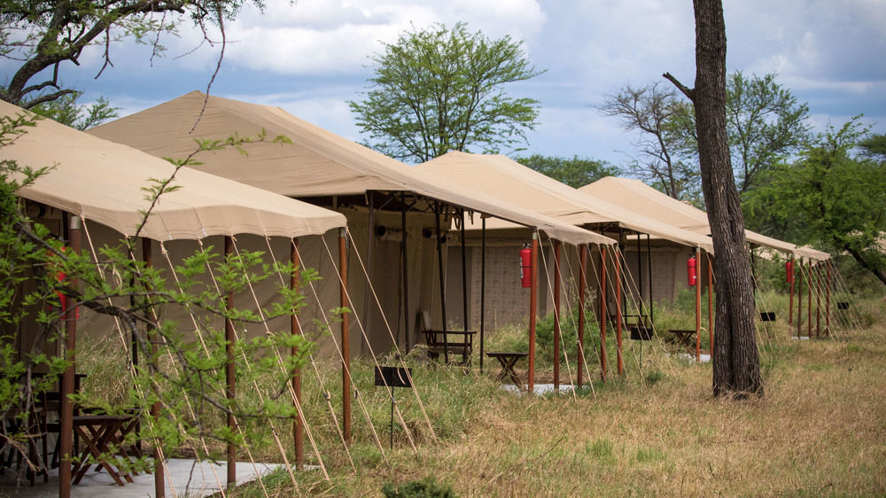 Serengeti Acacia Central Camp Extérieur photo
