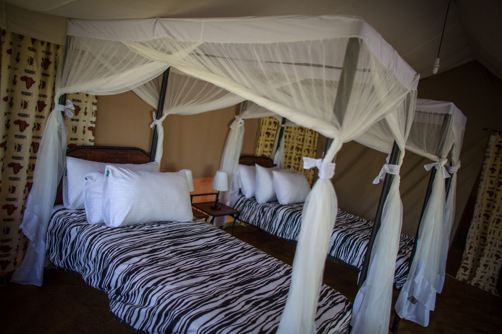 Serengeti Acacia Central Camp Extérieur photo